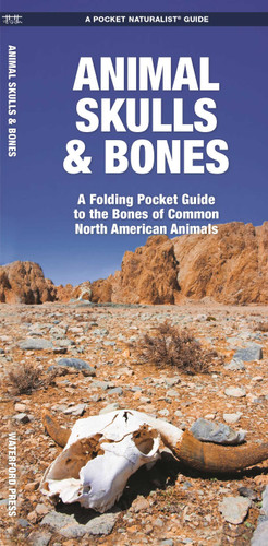 Animal Skulls & Bones: A Folding Pocket Guide to the Bones of Common North American Animals (Outdoor Skills and Preparedness) book cover by James Kavanagh, Waterford Press