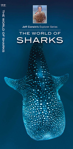 World of Sharks (Discovery) book cover by Jeff Corwin, Waterford Press