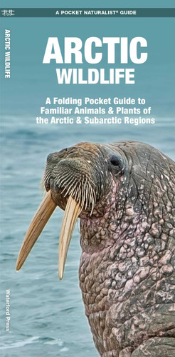 Arctic Wildlife (Nature Observation International) book cover by James Kavanagh, Waterford Press