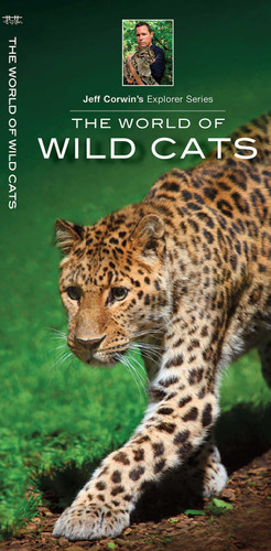 World of Wild Cats (Wildlife and Nature Identification) book cover by Jeff Corwin