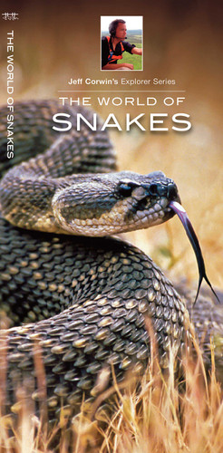 World of Snakes (Wildlife and Nature Identification) book cover by Jeff Corwin