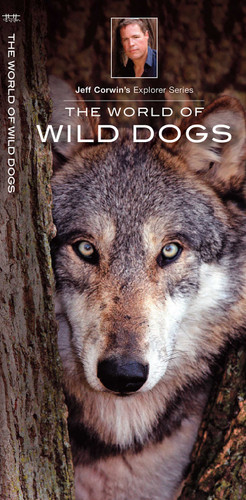 World of Wild Dogs (Discovery) book cover by Jeff Corwin