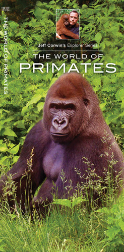 World of Primates (Discovery) book cover by Jeff Corwin