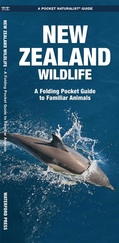 New Zealand Wildlife (Nature Observation International) book cover by James Kavanagh, Waterford Press
