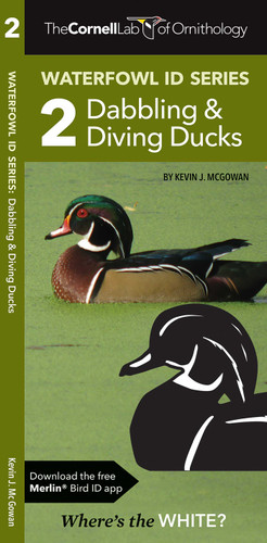 Cornell Lab of Ornithology Waterfowl ID Series: 2 Dabbling & Diving Ducks: Cornell Lab of Ornithology Bird ID Series (Nature Observation North America) book cover by Kevin J. McGowan, The  Cornell Lab of Ornithology