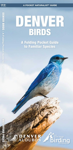 Denver Birds: A Folding Pocket Guide to Familiar Species book cover by Denver Audubon