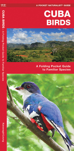 Cuba Birds: A Folding Pocket Guide to Familiar Species (Wildlife and Nature Identification) book cover by James Kavanagh