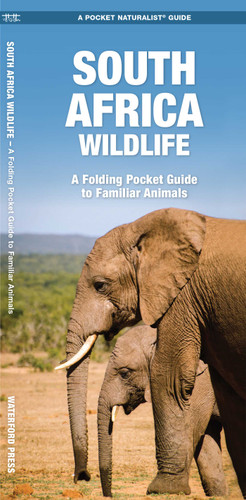South Africa Wildlife (Nature Observation International) book cover by James Kavanagh, Waterford Press