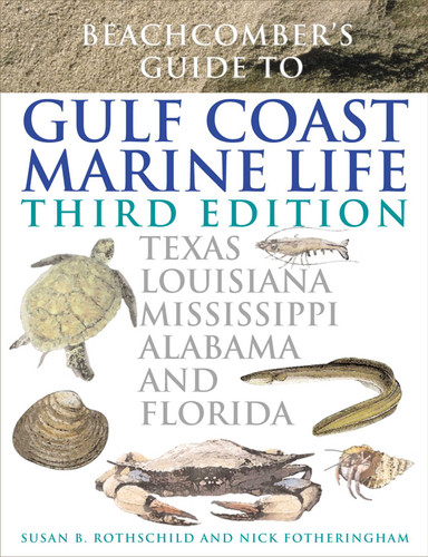 Beachcomber's Guide to Gulf Coast Marine Life: Texas, Louisiana, Mississippi, Alabama, and Florida book cover by Susan B. Rothschild, Nick Fotheringham