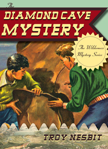 The Diamond Cave Mystery (The Wilderness Mystery Series) book cover by Troy Nesbit