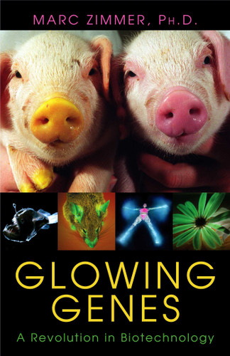 Glowing Genes: A Revolution In Biotechnology book cover by Marc Zimmer