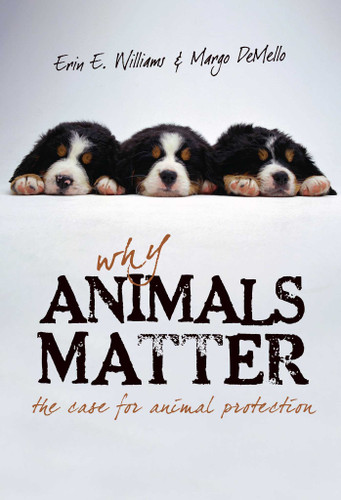 Why Animals Matter: The Case for Animal Protection book cover by Erin E. Williams, Margo Demello