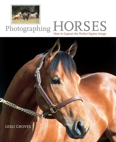Photographing Horses: How To Capture The Perfect Equine Image book cover by Lesli Groves