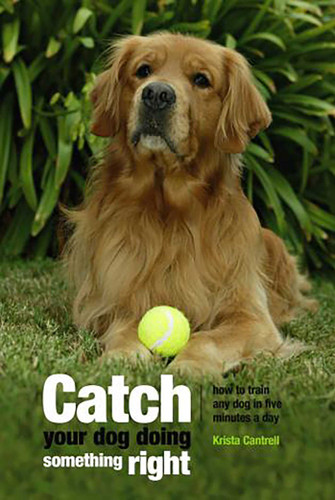 Catch Your Dog Doing Something Right: How To Train Any Dog In Five Minutes A Day book cover by Krista Cantrell