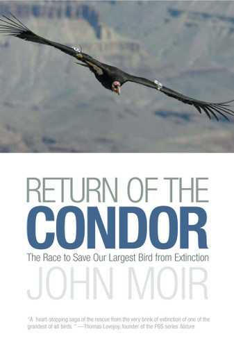 Return of the Condor: The Race to Save Our Largest Bird from Extinction book cover by John Moir