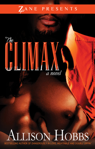 The Climax book cover by Allison Hobbs