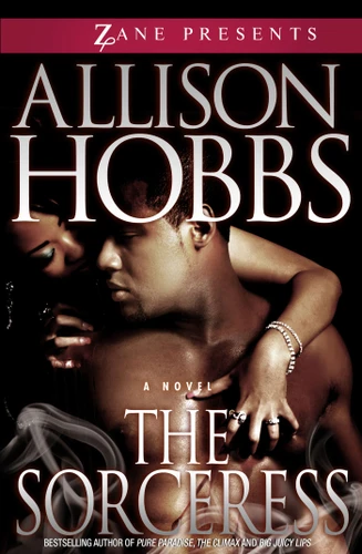 The Sorceress: A Novel book cover by Allison Hobbs