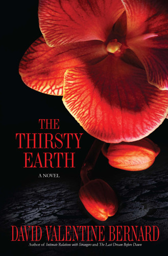 The Thirsty Earth: A Novel book cover by David Valentine Bernard