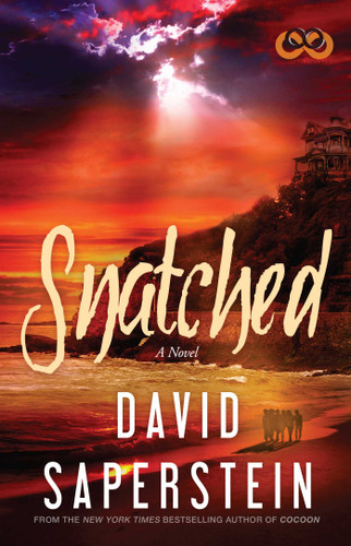 Snatched book cover by David Saperstein