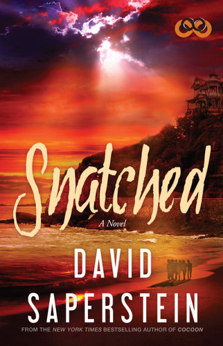 Snatched book cover by David Saperstein