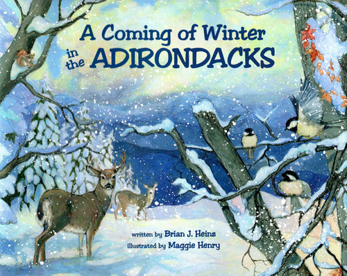 Coming Of Winter In The Adirondacks book cover by Brian J. Heinz