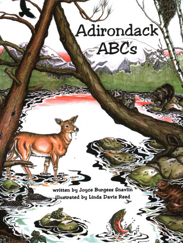 Adirondack ABCs book cover by Snavlin Reed