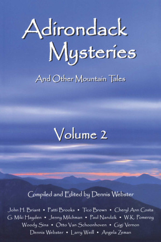 Adirondack Mysteries: And Other Mountain Tales book cover by 