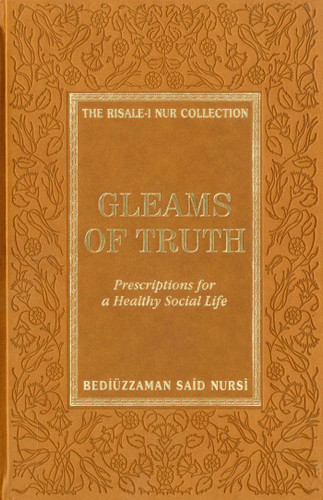 Gleams of Truth book cover by Ali Unal