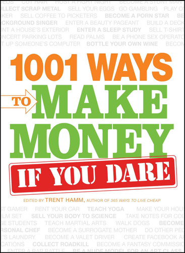 1001 Ways to Make Money If You Dare book cover by Trent Hamm, Michelle Scheinman