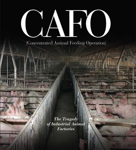 CAFO: The Tragedy of Industrial Animal Factories book cover by 