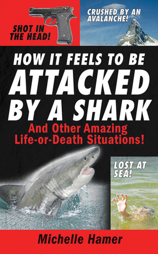 How it Feels to Be Attcked by a Shark book cover by Michelle Hamer
