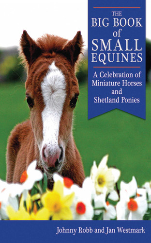 The Big Book of Small Equines: A Celebration of Miniature Horses and Shetland Ponies book cover by Johnny Robb, Jan Westmark