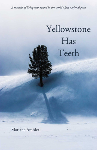 Yellowstone Has Teeth: A Memoir of Living in Yellowstone book cover by Marjane Ambler