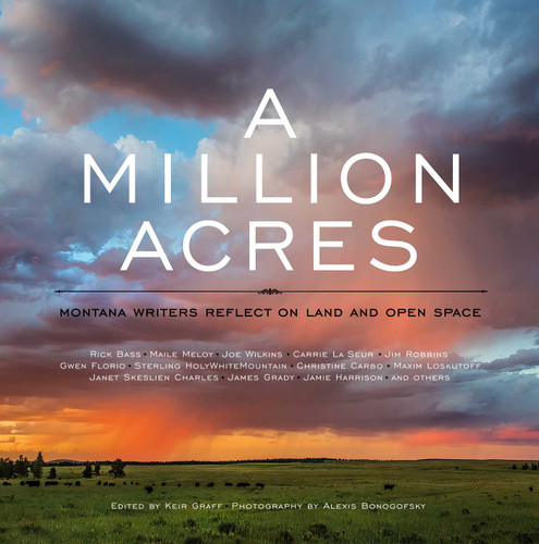 A Million Acres: Montana Writers Reflect on Land and Open Space book cover by 