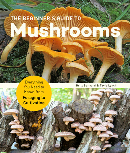 The Beginner's Guide to Mushrooms: Everything You Need to Know, from Foraging to Cultivating book cover by Tavis Lynch, Britt Bunyard