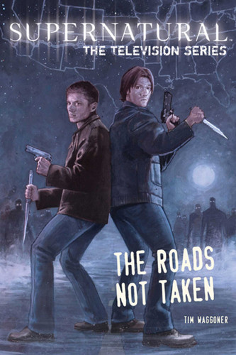 Supernatural, The Television Series: The Roads Not Taken book cover by Tim Waggoner