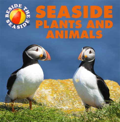 Beside the Seaside: Seaside Plants and Animals (Beside the Seaside) book cover by Clare Hibbert