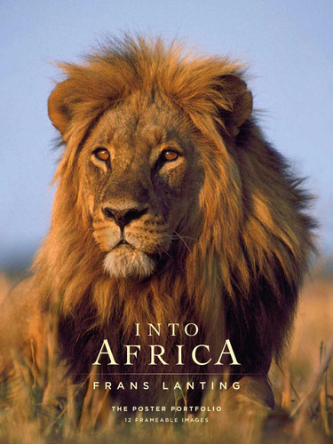 Into Africa: The Poster Portfolio: 12 Frameable Images (Insights Poster Collections) book cover by 