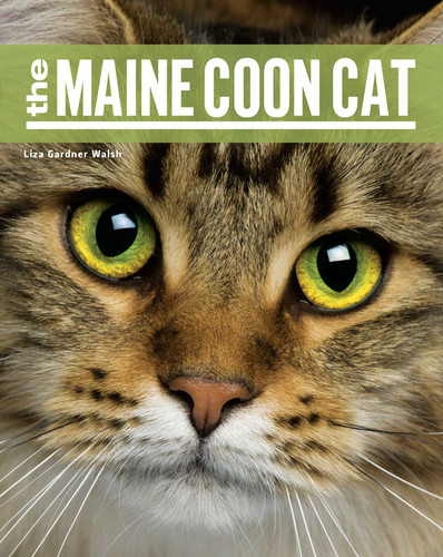 The Maine Coon Cat book cover by Liza Gardner Walsh
