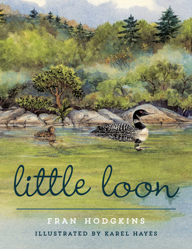 Little Loon book cover by Fran Hodgkins
