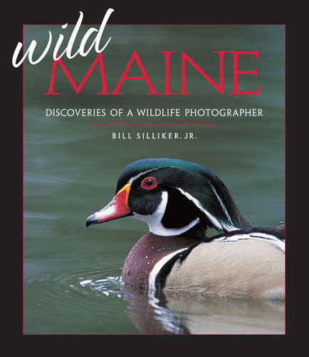 Wild Maine: Discoveries of a Wildlife Photographer book cover by Bill Silliker