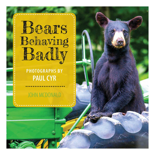 Bears Behaving Badly book cover by John McDonald
