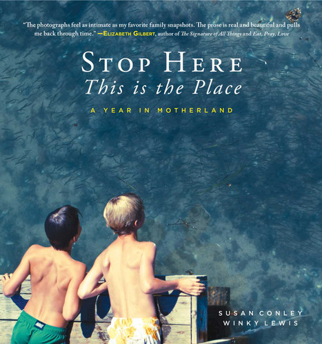 Stop Here, This is the Place book cover by Susan Conley