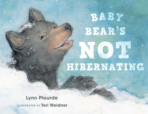 Baby Bear's Not Hibernating book cover by Lynn Plourde