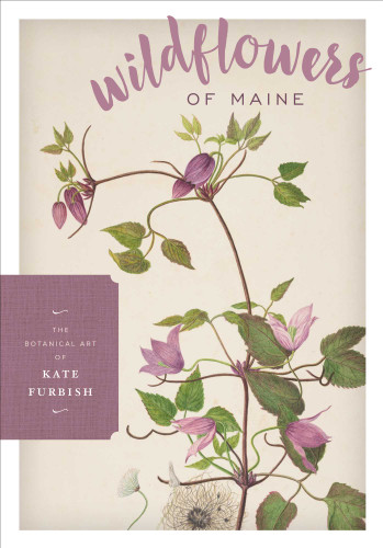 Wildflowers of Maine book cover by 