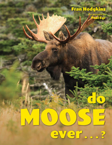 Do Moose Ever . . .? book cover by Fran Hodgkins