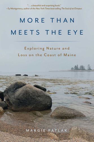 More Than Meets the Eye: Exploring Nature and Loss on the Coast of Maine book cover by Margie Patlak