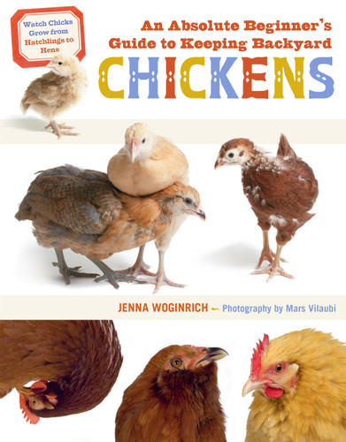 An Absolute Beginner's Guide to Keeping Backyard Chickens: Watch Chicks Grow from Hatchlings to Hens book cover by Jenna Woginrich