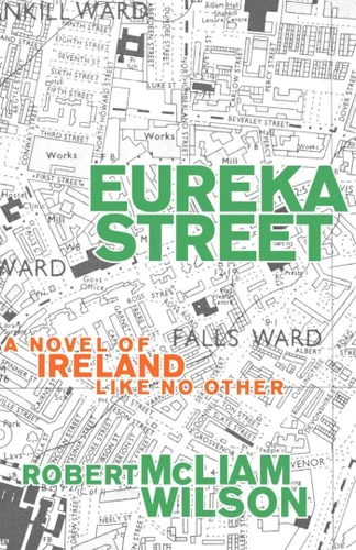 Eureka Street: A Novel of Ireland Like No Other book cover by Robert McLiam Wilson