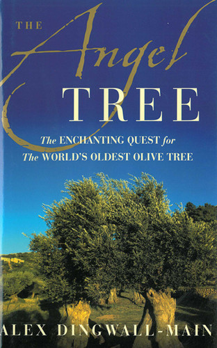 The Angel Tree: The Enchanting Quest for the World's Oldest Olive Tree book cover by Alex Dingwall-Main